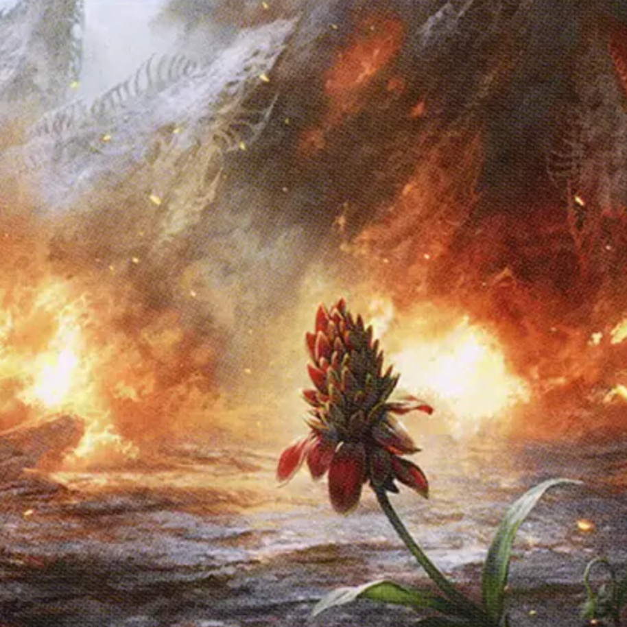 Jund Wildfire deck photo